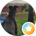 Ems Avatar